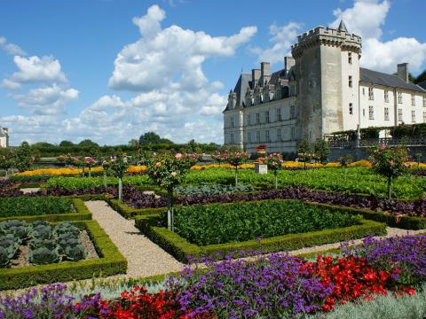 Dvorci Loire 5 dana avionom 2024 0