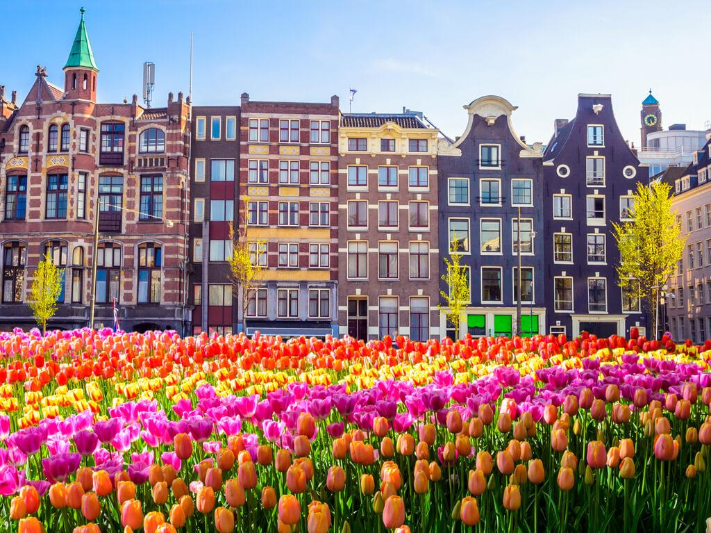 Amsterdam i Keukenhof 0