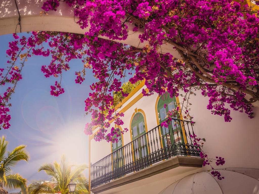 Gran Canaria 8 dana 1