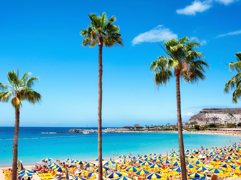 Gran Canaria 8 dana 0