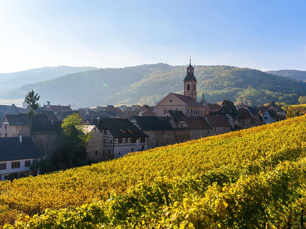 Alsace i Schwarzwald 2