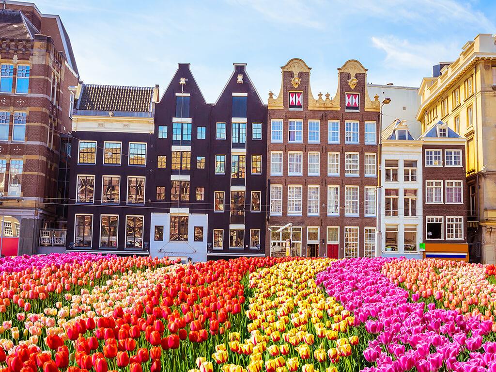Amsterdam i Keukenhof 7
