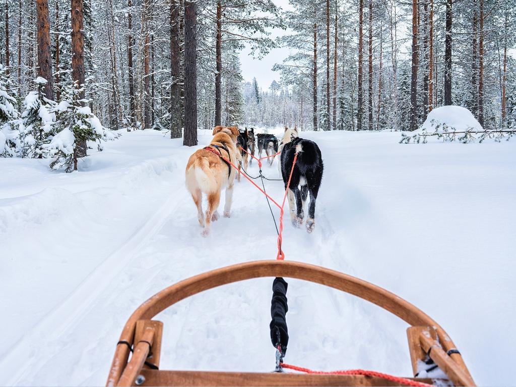 Putovanje u Rovaniemi 2025. 3