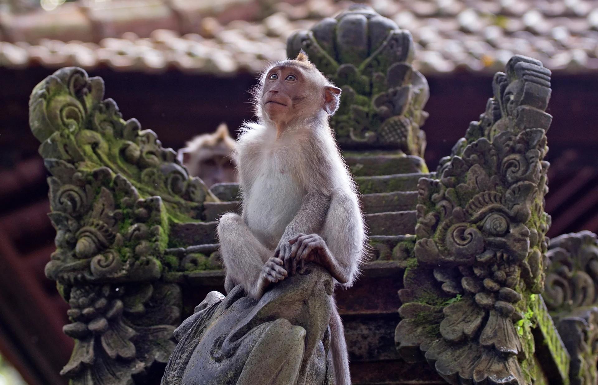 Kuala Lumpur, Bali & Singapur Nova godina 2026. 0