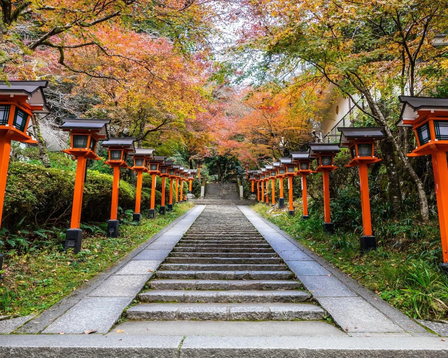 Japan 2026 - 11 dana 2