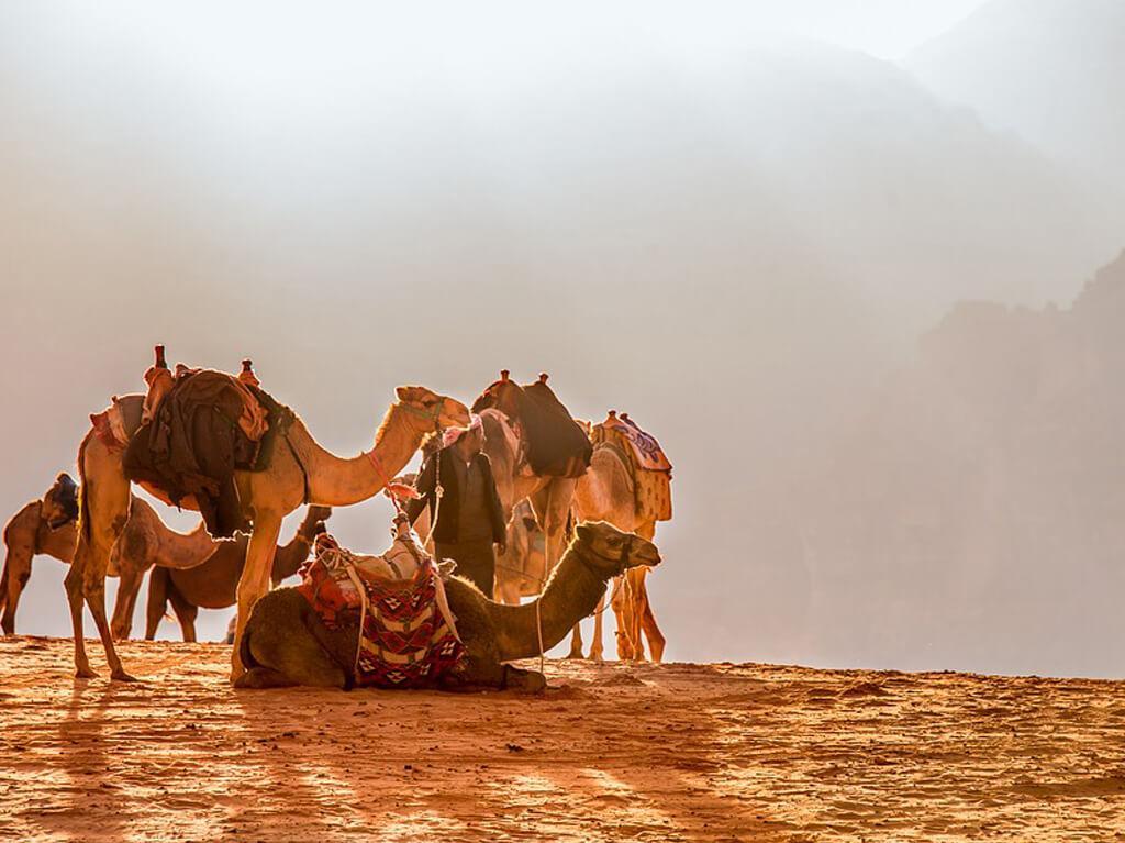 Jordan 8 dana - Praznik rada 2026 2