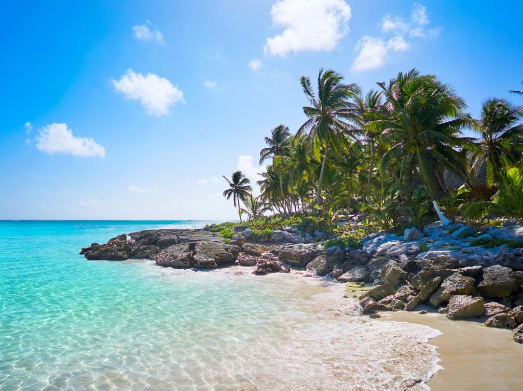 Meksiko Nova godina 12 dana 2026 4