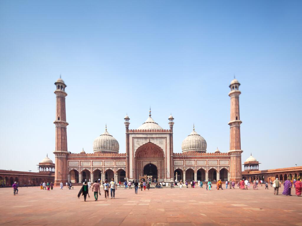 Indija 8 dana - Zlatni trokut 9