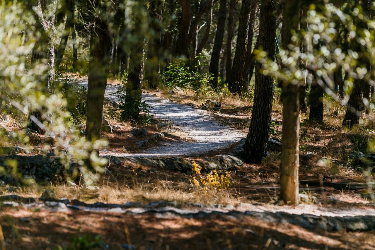 Hotel Medena 3* - P. TRAVEL 19