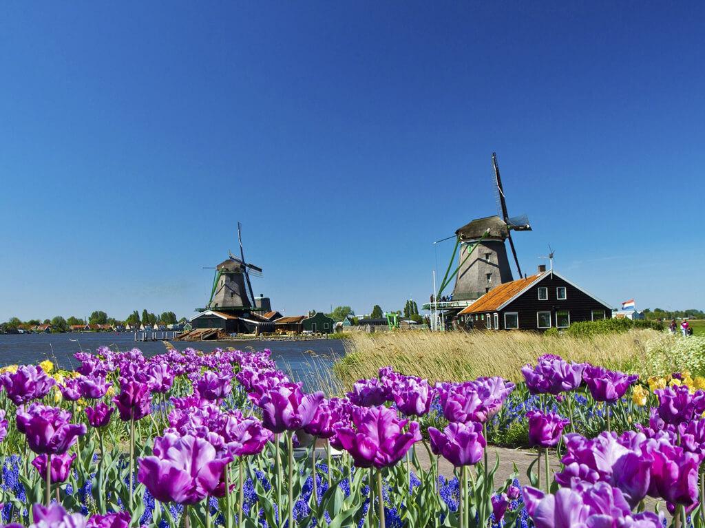 Amsterdam 4 dana avionom 2026 0