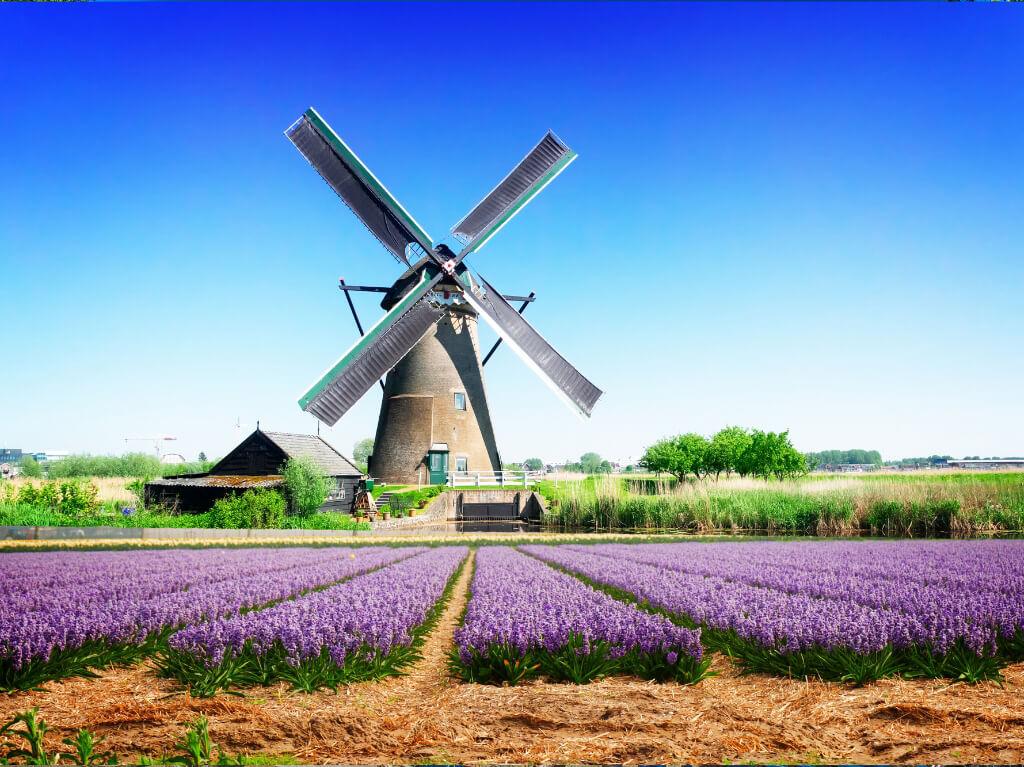 Amsterdam za Dan antifašističke borbe 10