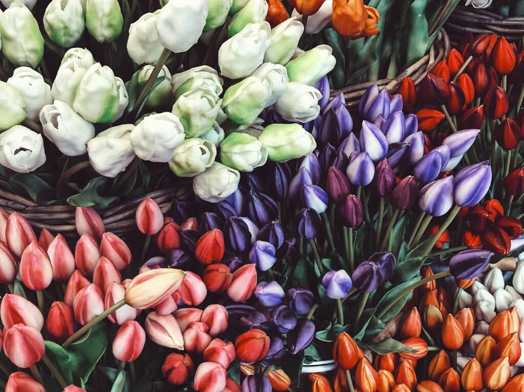 Amsterdam i cvjetna polja Keukenhof 2026. 19