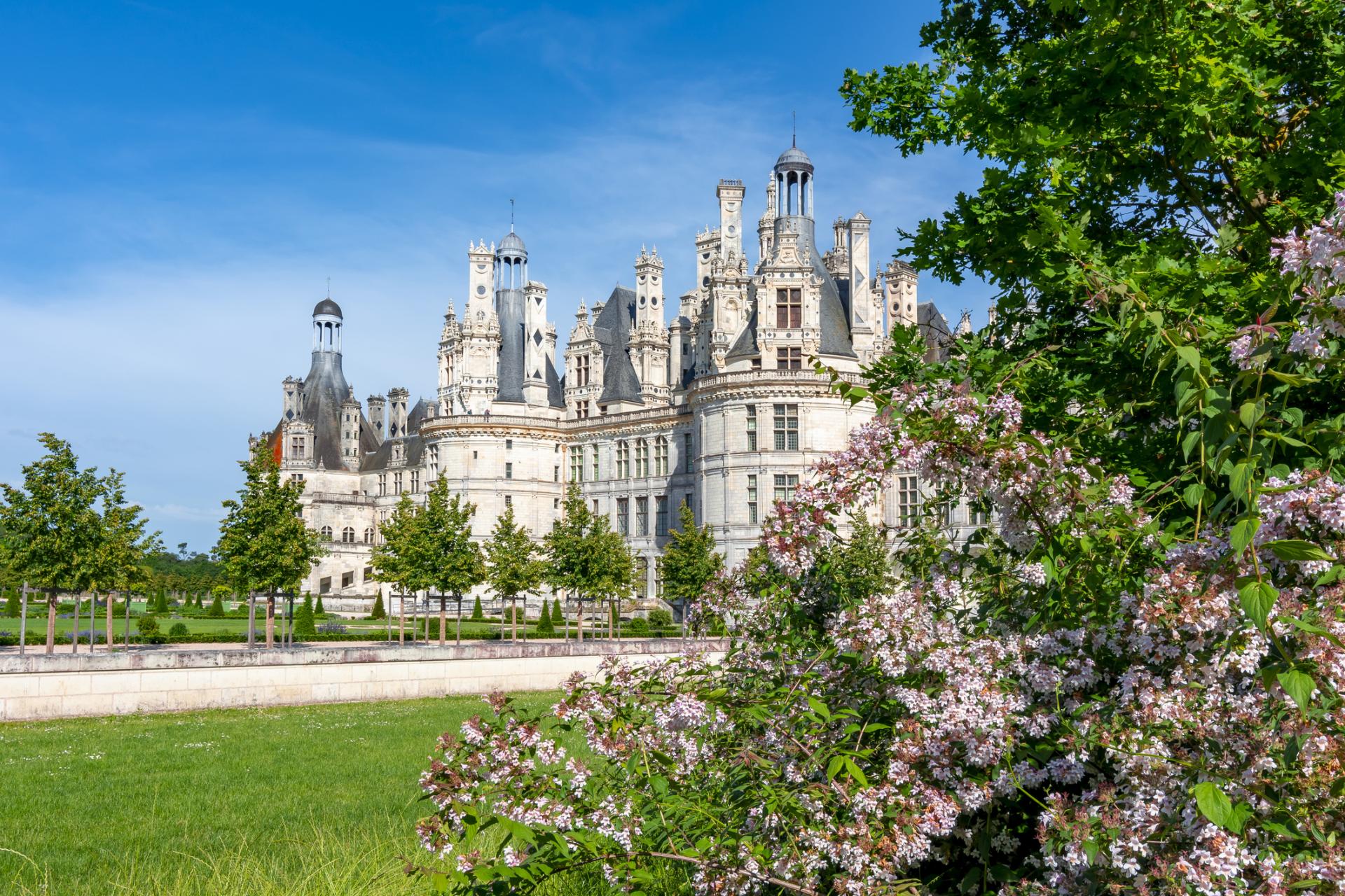 Dvorci Loire - 5 dana avionom