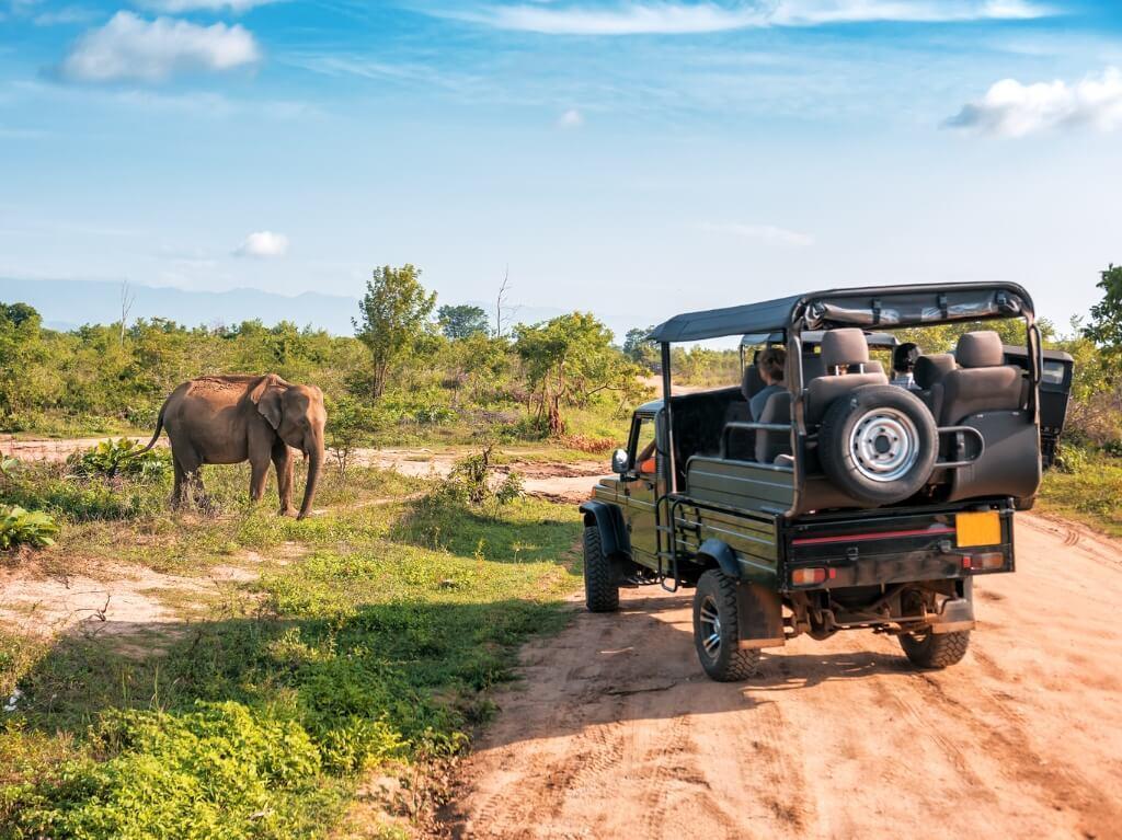 Kenija Velika tura - zimski termini 2027. 3