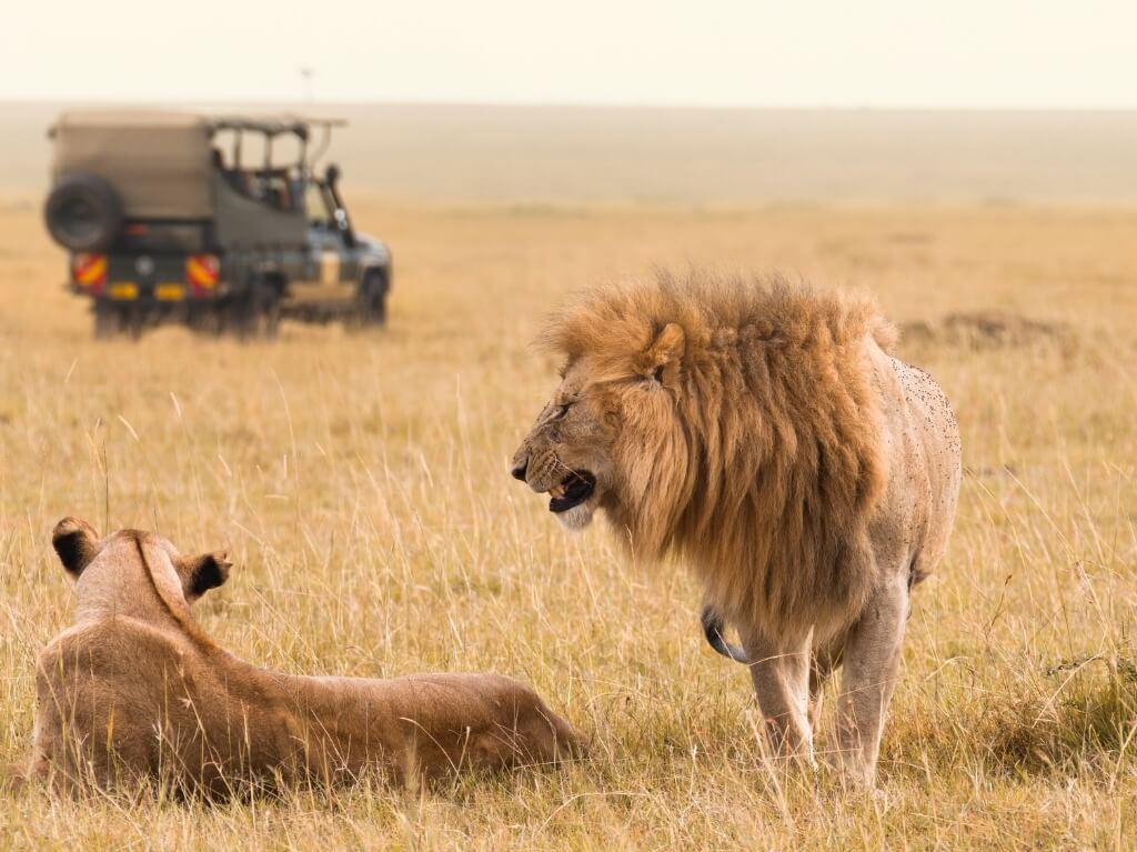 Kenija 9 dana 2 Nacionalna parka  7