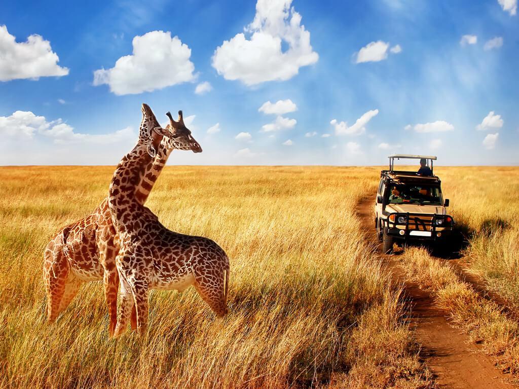 Kenija Velika tura - zimski termini 2027. 2