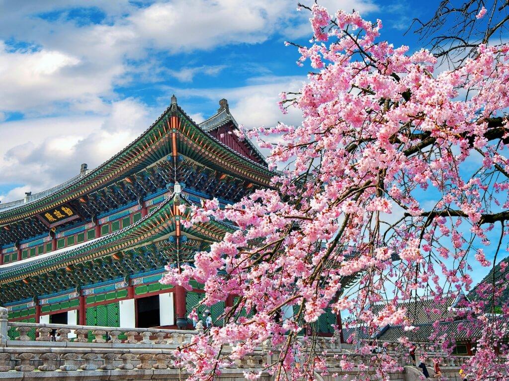 Južna Koreja i otok Jeju - Jesen 2026 0