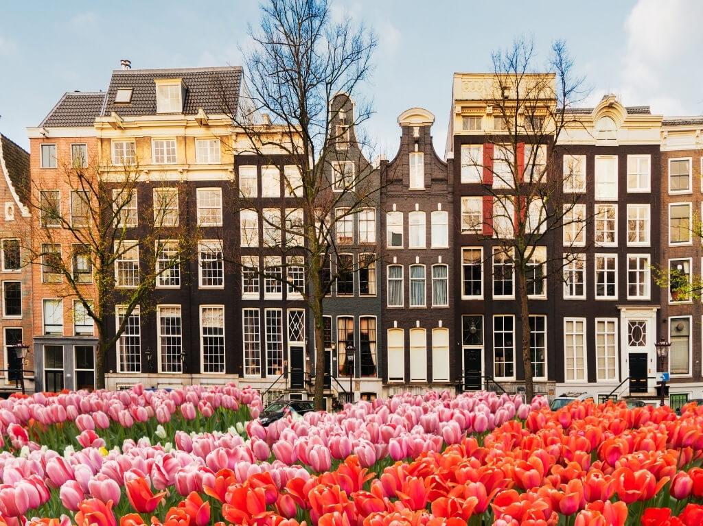 Amsterdam 4 dana avionom 2026 21