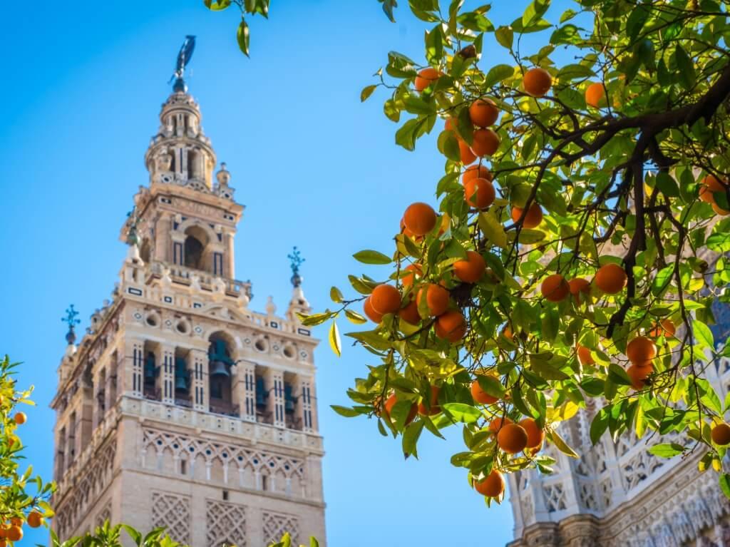 Andaluzija 8 dana 21