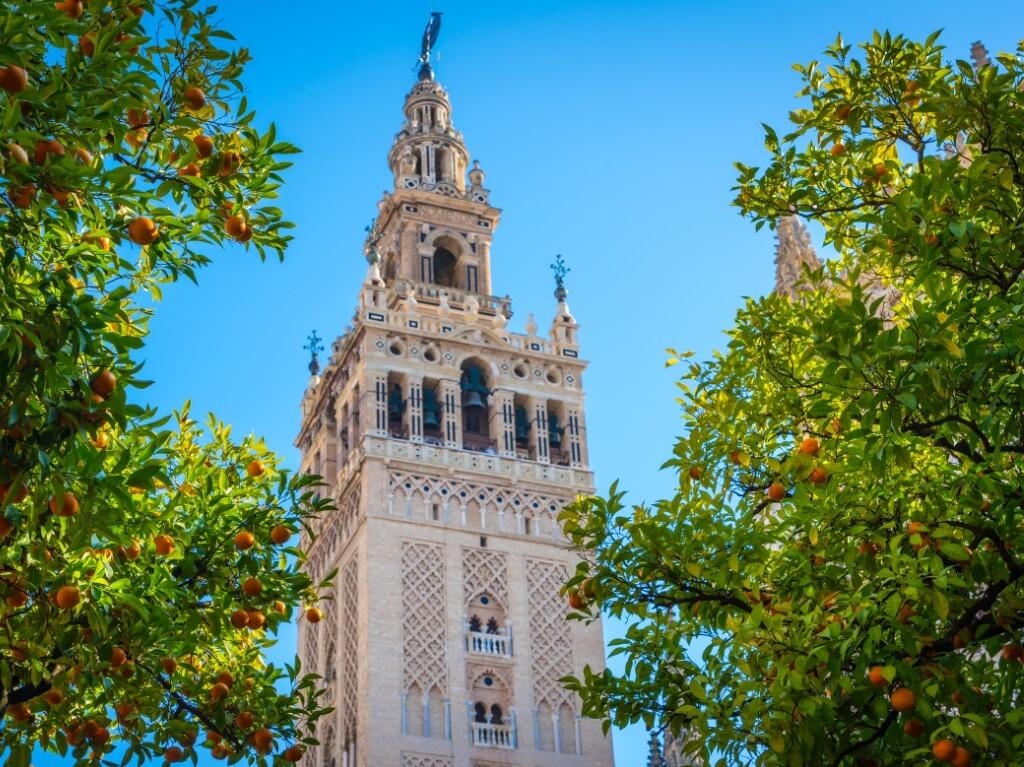 Andaluzija 8 dana 20