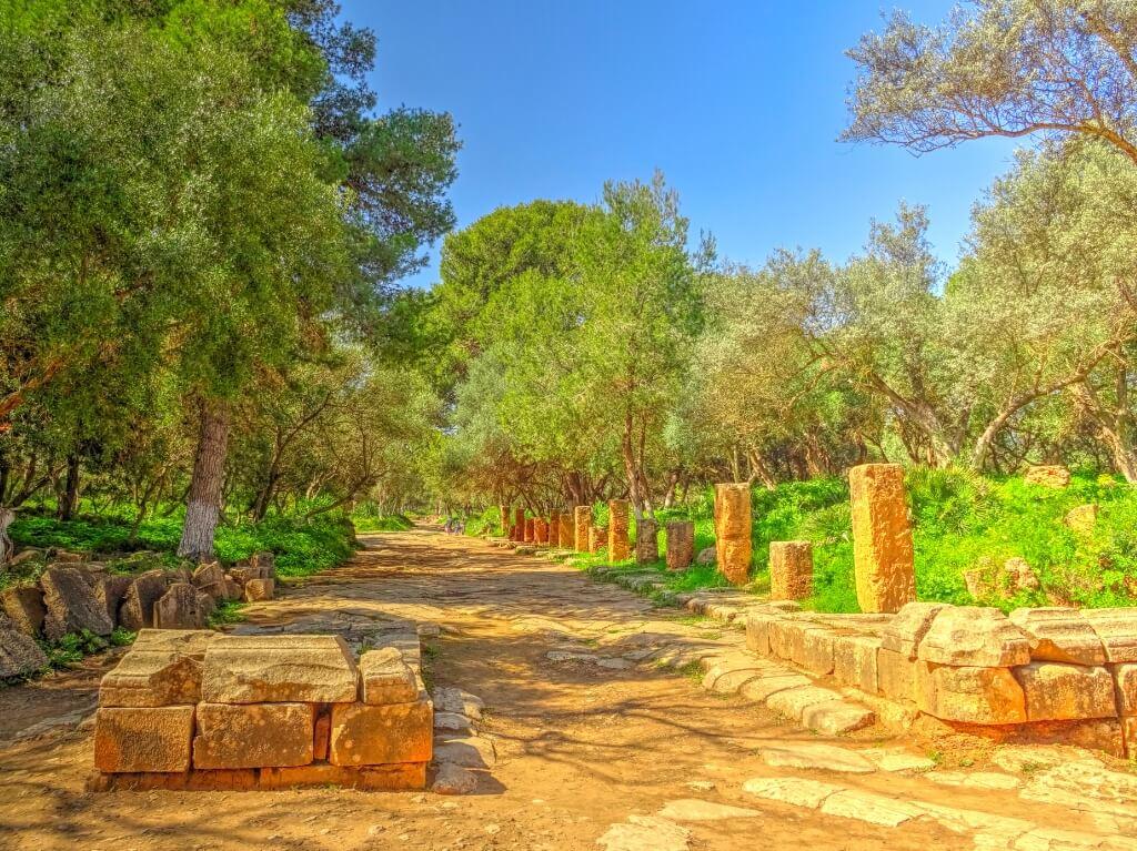 Alžir – skriveni dragulj Mediterana i Sahare 2