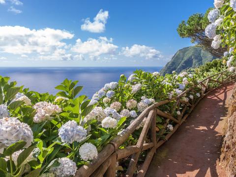 Azori - Zeleni Raj usred Atlantika 8 dana  0