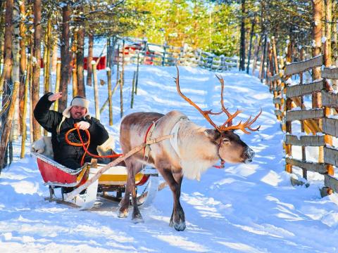 Putovanje u Rovaniemi 2025. 1