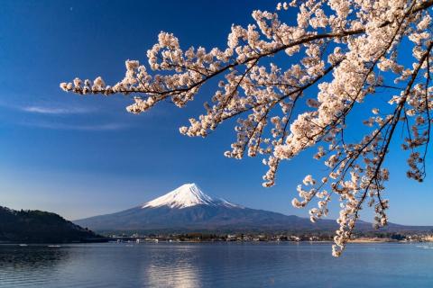 Japan Uskrs 2026 11 dana 3