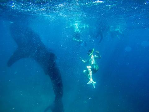 Filipini - neotkriveni biseri 2