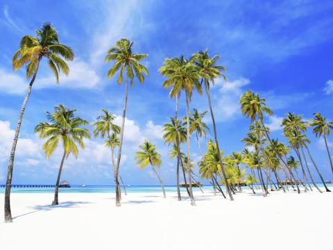 Kuba u srcu Kariba 12 dana - Veljača  0