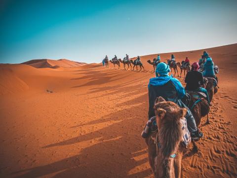 Maroko: Kraljevski gradovi - Svibanj 2026 1