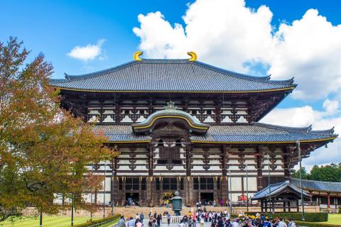 Japan 2026 - 11 dana 1