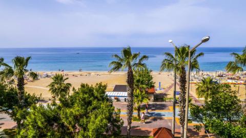 Hotel Kleopatra Royal Palm 5