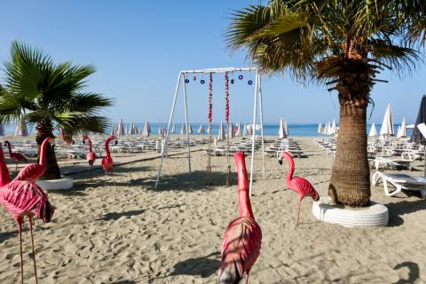 TURSKA - Alanya | Hotel Blue Wave Suite 4* 0