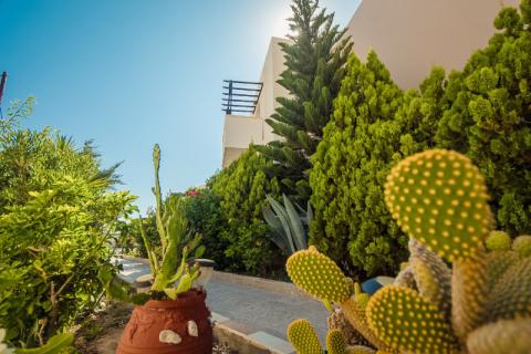 Karpatos - Arkasa | Hotel Arkasa Bay 4* 2