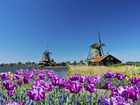 Amsterdam 4 dana avionom 2026 0