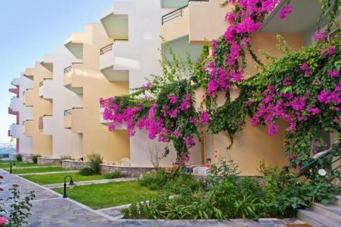 KRETA - Chania | Hotel Dedalos Beach 3*  4