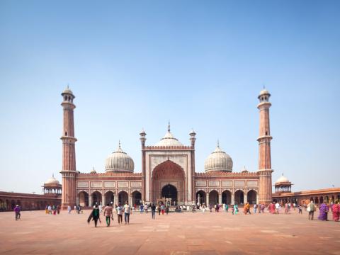 Indija 8 dana - Zlatni trokut 9