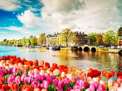 Amsterdam za Dan antifašističke borbe 4