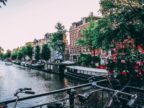 Amsterdam i cvjetna polja Keukenhof 2026. 17