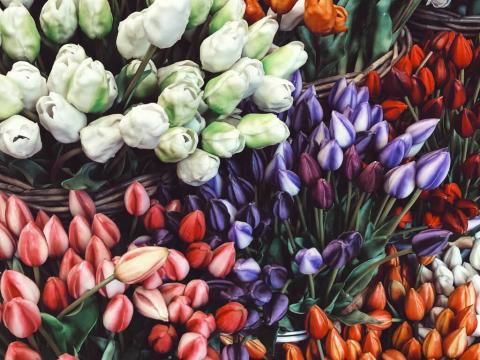 Amsterdam za Dan antifašističke borbe 15