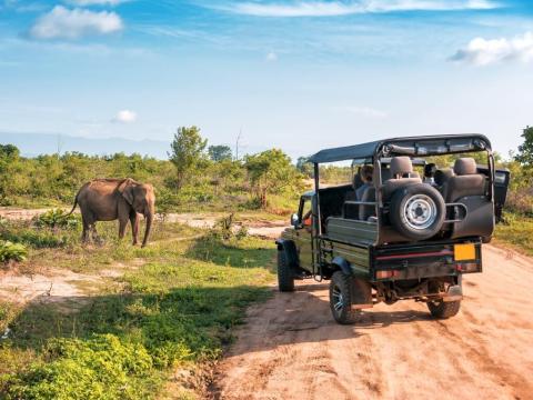 Kenija Velika tura - zimski termini 2027. 3