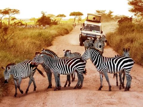 Kenija Velika tura - zimski termini 2027. 4