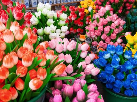 Amsterdam 4 dana avionom 2026 23