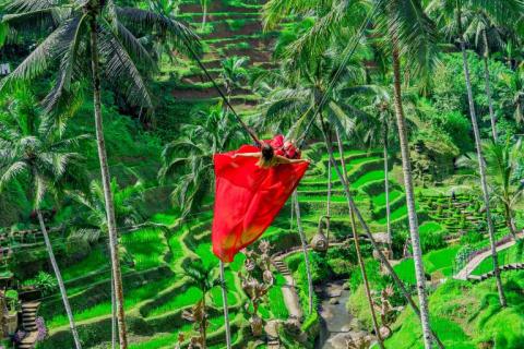 Singapur - Malezija - Bali  4