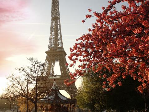 Pariz 4 dana avionom 1
