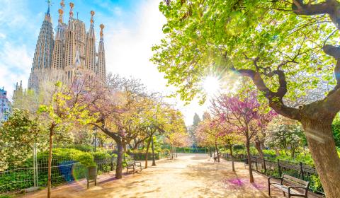 Barcelona 4 dana avionom 2026 6