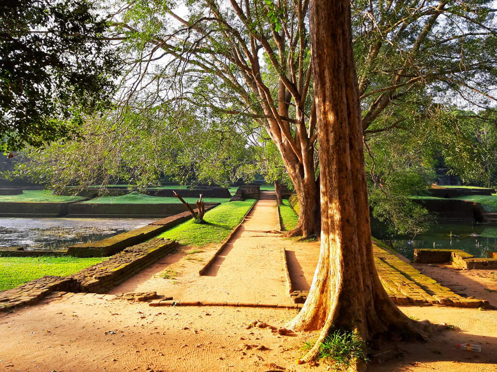 Sigiriya-vodeni-vrtovi